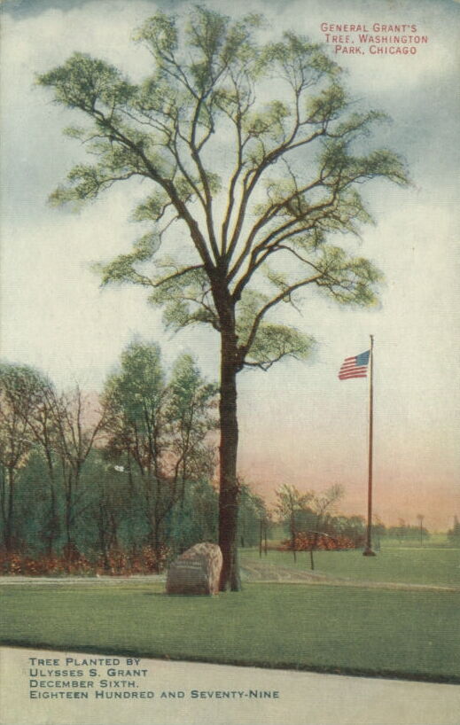 Post card